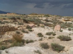 Cerro de la Almagra 2004